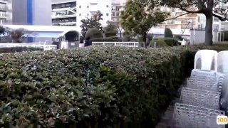 发烧吃什么水果最好“我操比的时候你才刚出生！”“少勾引我”【看简介同城约炮】